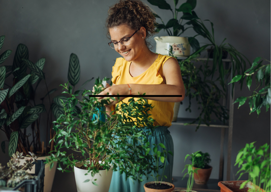 10 Creative Ways to Decorate Indoor and Outdoor Spaces with Artificial Plants
