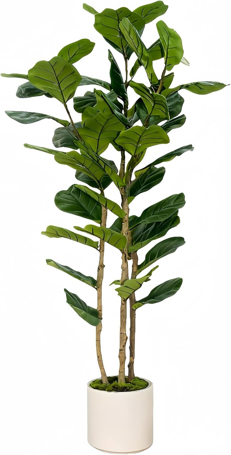 Artificial Fiddle Leaf Fig Tree 6FT with White Tall Planter-Large Faux Tree Tall Fake Floor Plant in Pot,Artificial Plants Indoor for Home Office Living Room Décor(Lyrata 6FT)