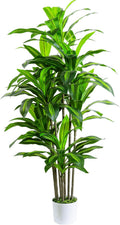 Artificial Dracaena Fake Tree 6FT, White High Pot Artificial Plants Indoor&Outdoor, Fake Plants for Office/Home/Living Room Potted Decoration