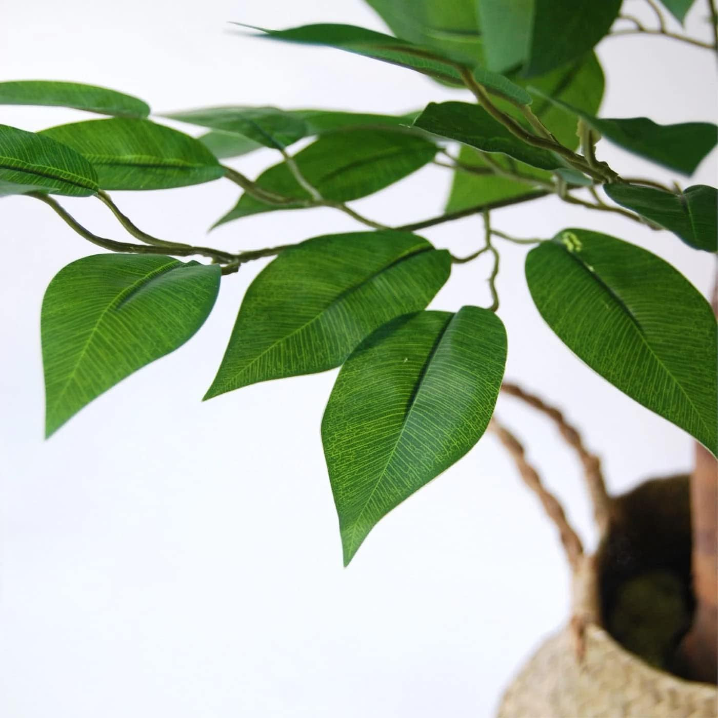 | Ficus 6 FT | Decorative Artificial Plants | Large Artificial Plant | Artificial Plants for Indoor/Outdoor Use | Realistic Decorative Artificial Plant for Home