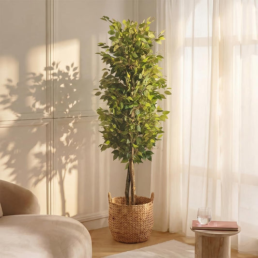 | Ficus 6 FT | Decorative Artificial Plants | Large Artificial Plant | Artificial Plants for Indoor/Outdoor Use | Realistic Decorative Artificial Plant for Home