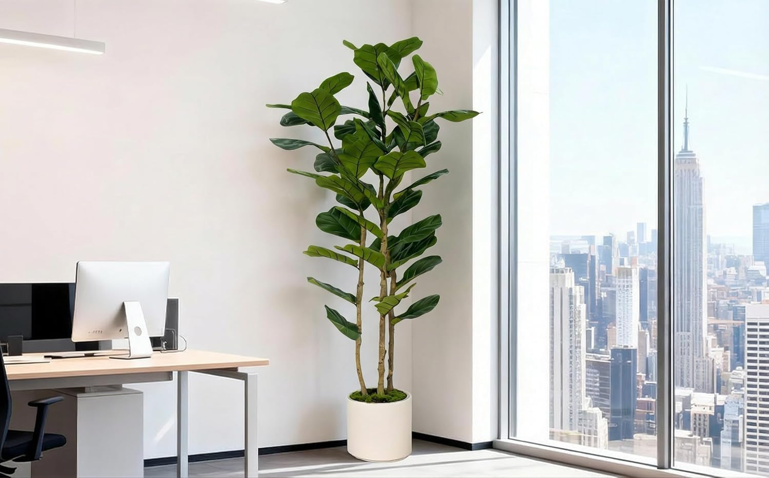 Artificial Fiddle Leaf Fig Tree 6FT with White Tall Planter-Large Faux Tree Tall Fake Floor Plant in Pot,Artificial Plants Indoor for Home Office Living Room Décor(Lyrata 6FT)